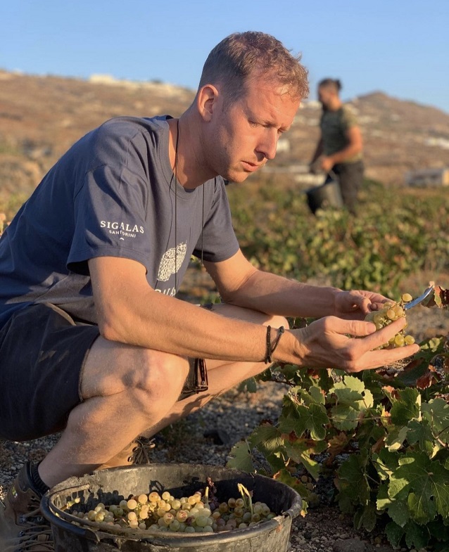 Domaine_Sigalas_Assyrtiko